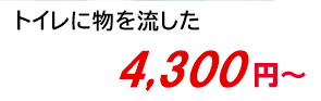 トイレに物を流した 4,800円～