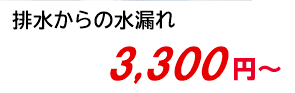 排水からの水漏れ 3,800円～