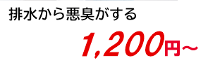 排水から悪臭がする 1,200円～