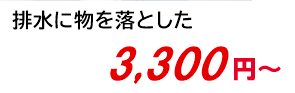 排水に物を落とした 3,800円～