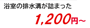 浴室の排水溝が詰まった 1,200円～