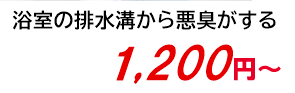 浴室の排水溝から悪臭がする 1,200円～