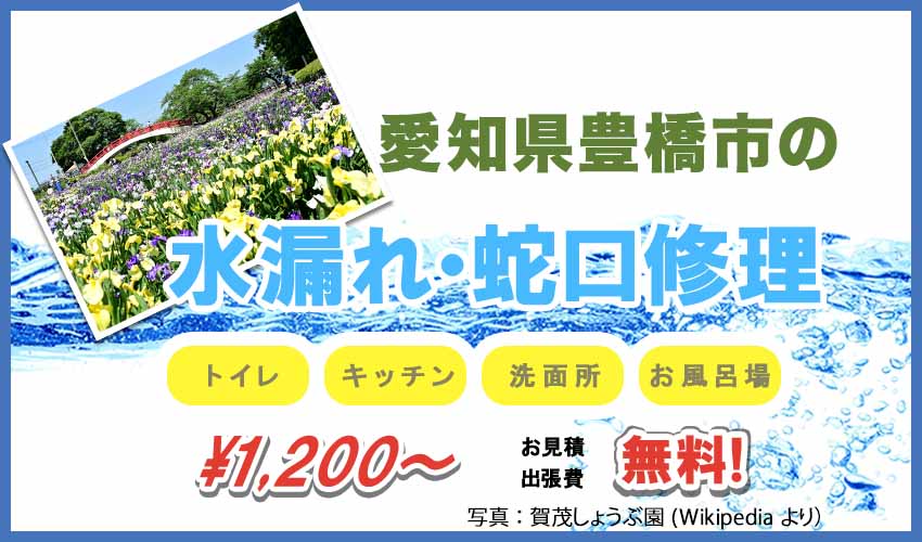 愛知県豊橋市の水漏れ・蛇口修理業者