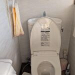 トイレにおもちゃを詰まらせた