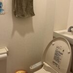トイレのつまり