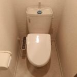 トイレにミニカーを詰まらせてしまった