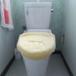 よく詰まるトイレのことを相談