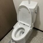 トイレットペーパーを詰まらせてしまった