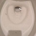 宝塚市野上 K様　トイレのつまり除去