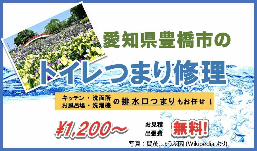 愛知県豊橋市のトイレつまり修理業者